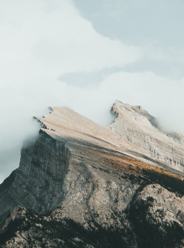 Digital Marketing course in raipur